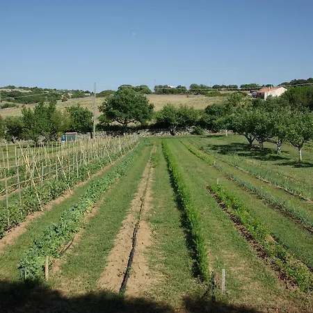 Sole E Terra Luogosanto